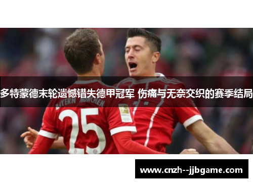 多特蒙德末轮遗憾错失德甲冠军 伤痛与无奈交织的赛季结局 多特蒙德末轮遗憾错失德甲冠军 伤痛与无奈交织的赛季结局